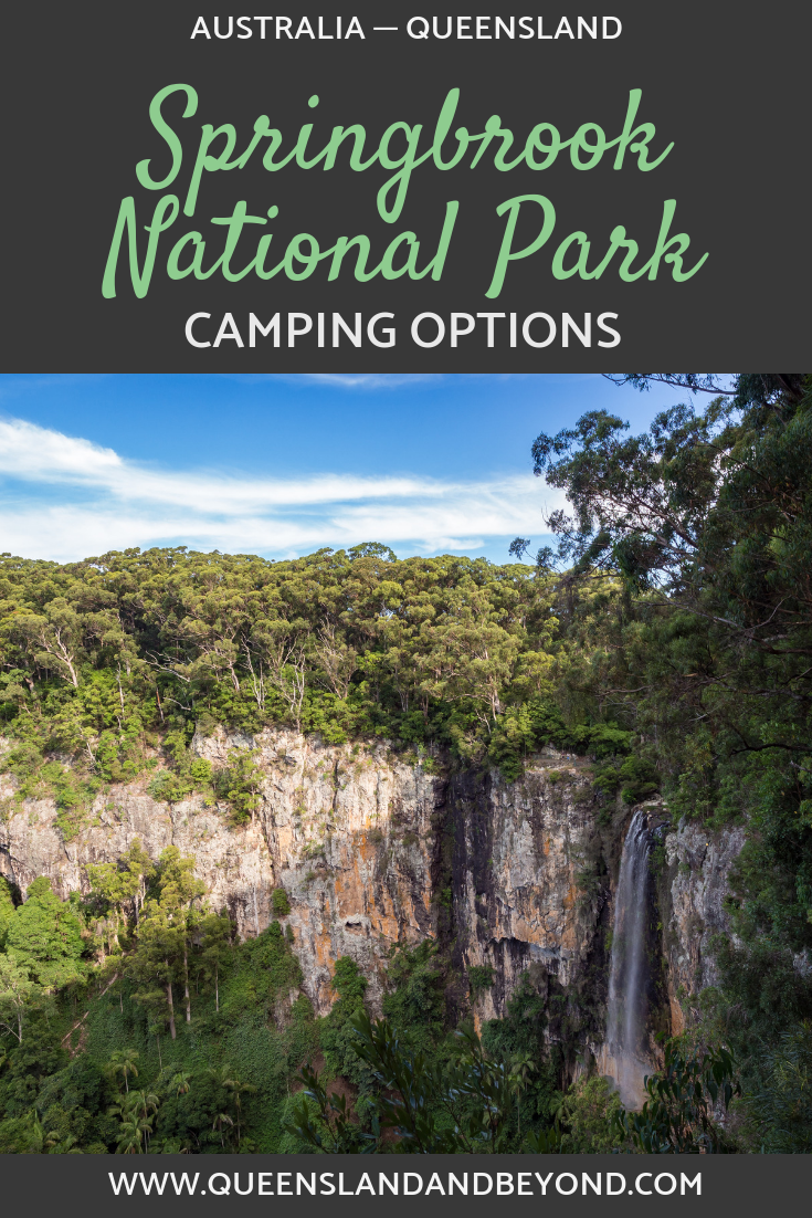 Camping options at Springbrook National Park
