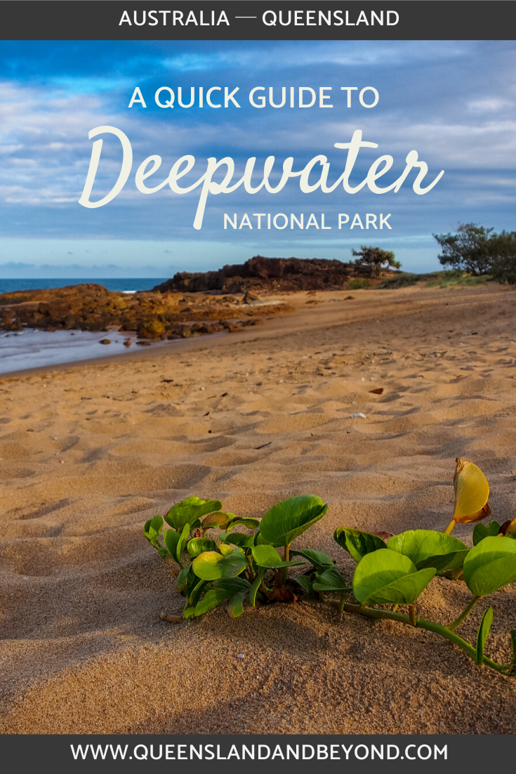 Guide to Deepwater National Park, Queensland, Australia