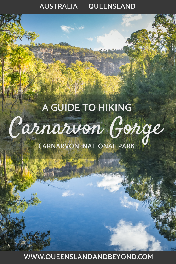 A guide to hiking Carnarvon Gorge