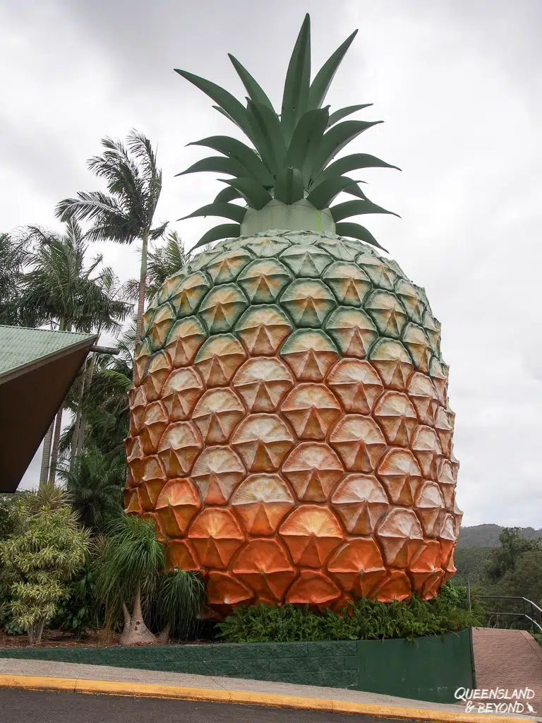 Big Pineapple, Sunshine Coast