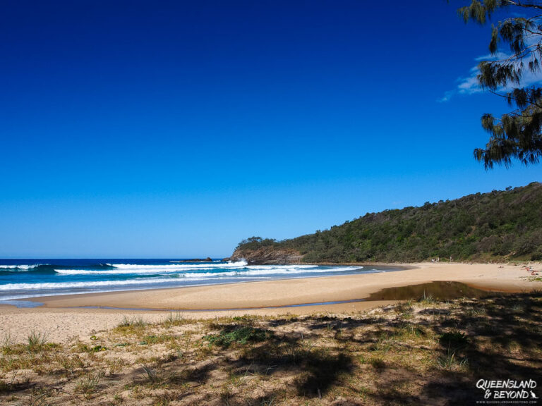 Hiking the Coastal Track in Noosa National Park