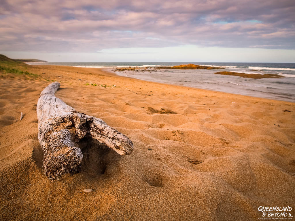 Deepwater National Park