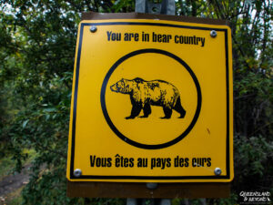 Bear warning sign, Kluane National Park