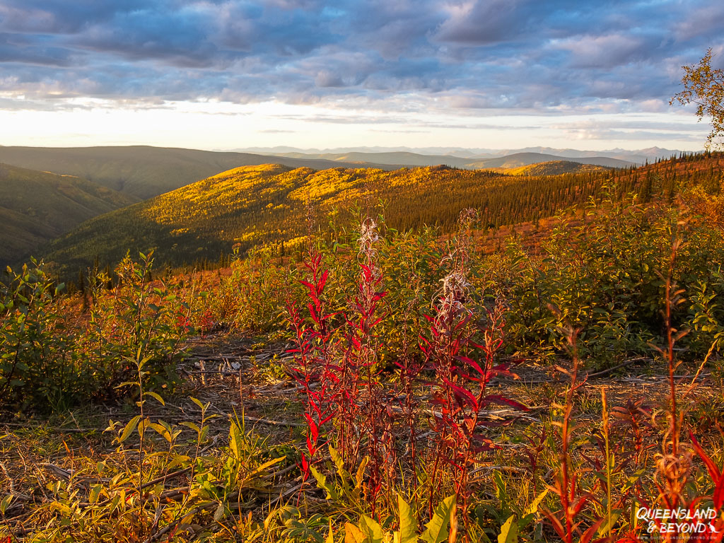 Autumn along the Top of the World Highway, Yukon