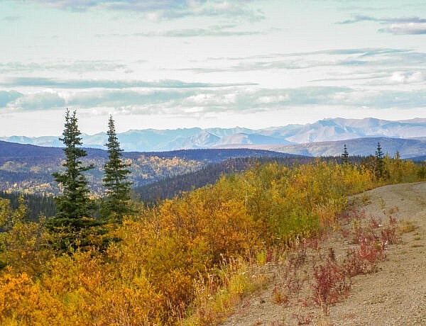 Autumn along Top of the World Highway, Yukon