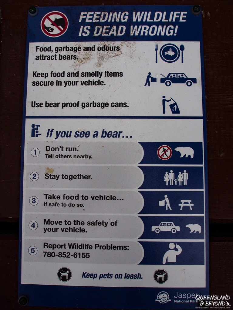 Sign in national park forbidding feeding wildlife