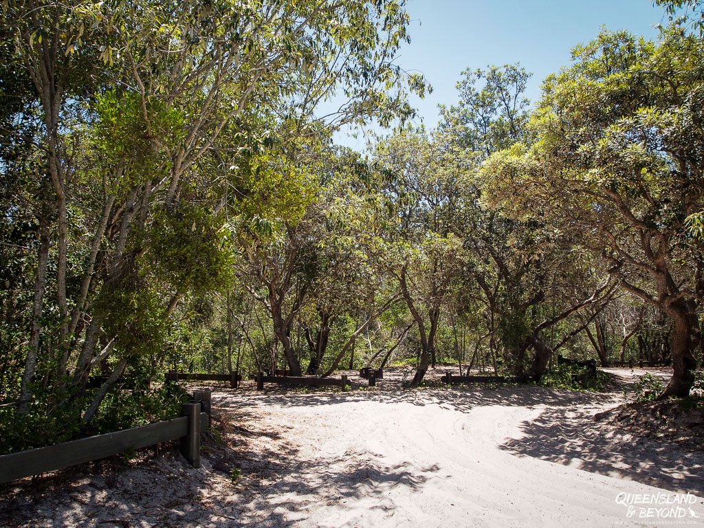 Campsite at Bribie Island National Park