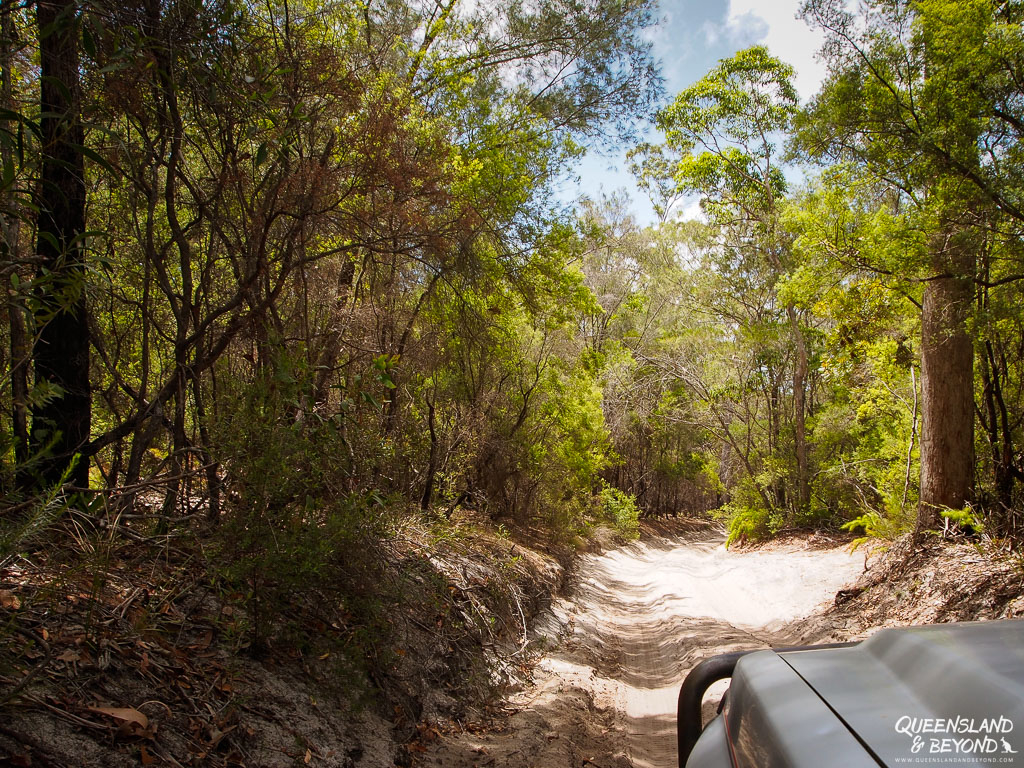 Driving an inland track, Fraser Island