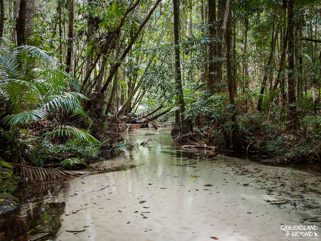 Wanggoolba Creek, Fraser Island