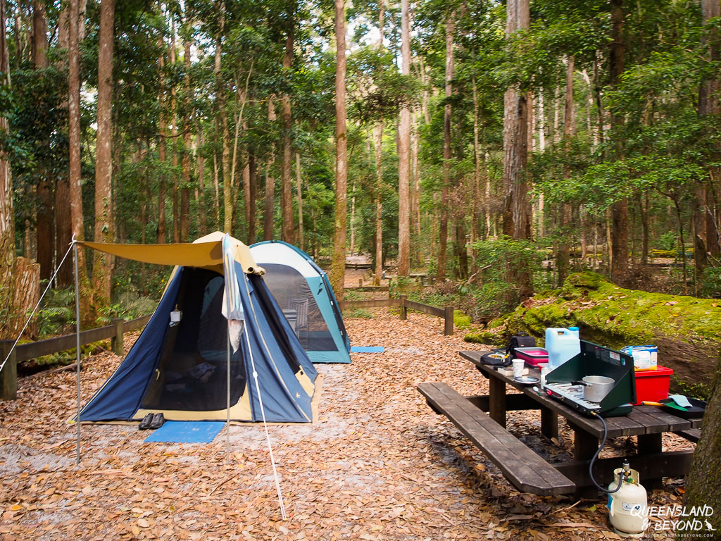 Camping at Central Station, Fraser Island