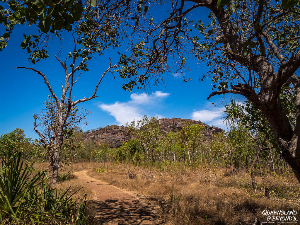 Hiking trail at Kakadu National Park