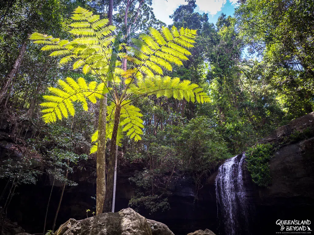 Serenity Falls, Buderim