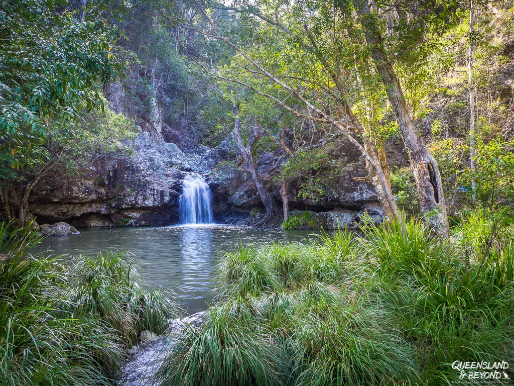 Kondalilla National Park