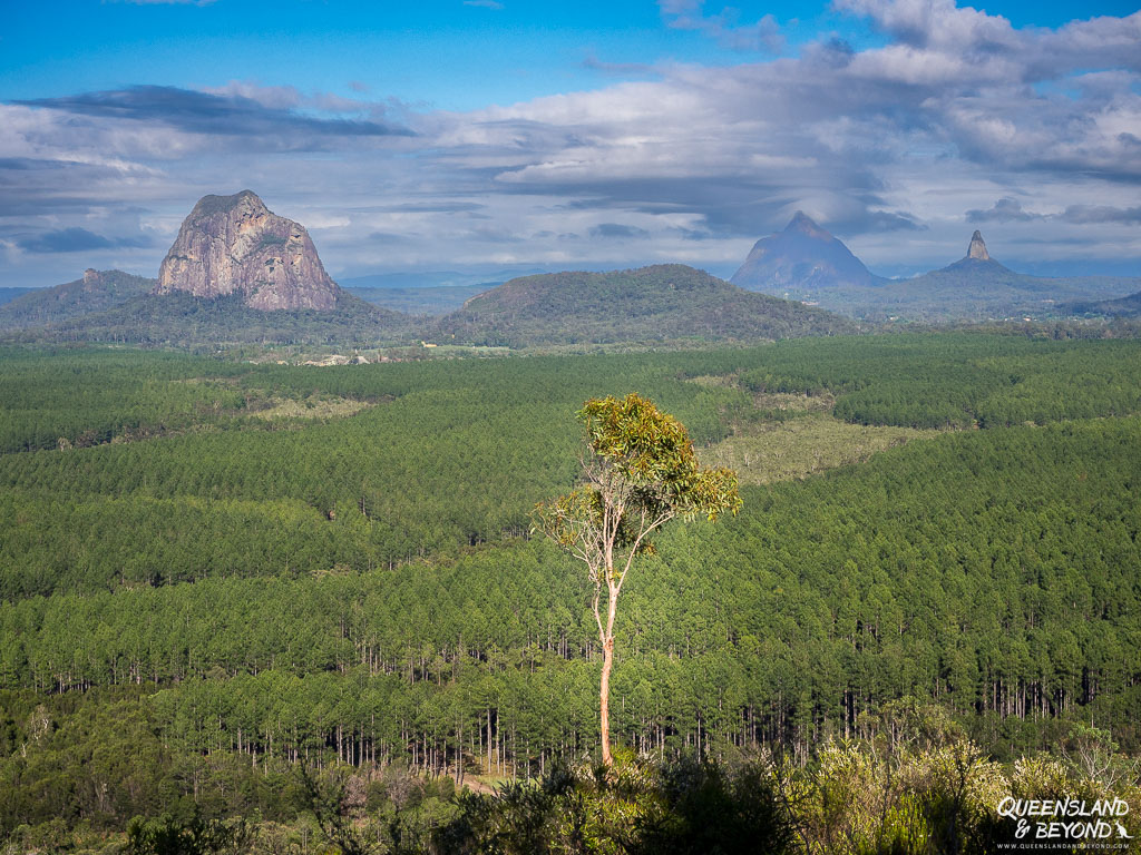 Views of the Glass House Mountains from Wild Horse Mountain Scenic Lookout, Sunshine Coast, Queensland