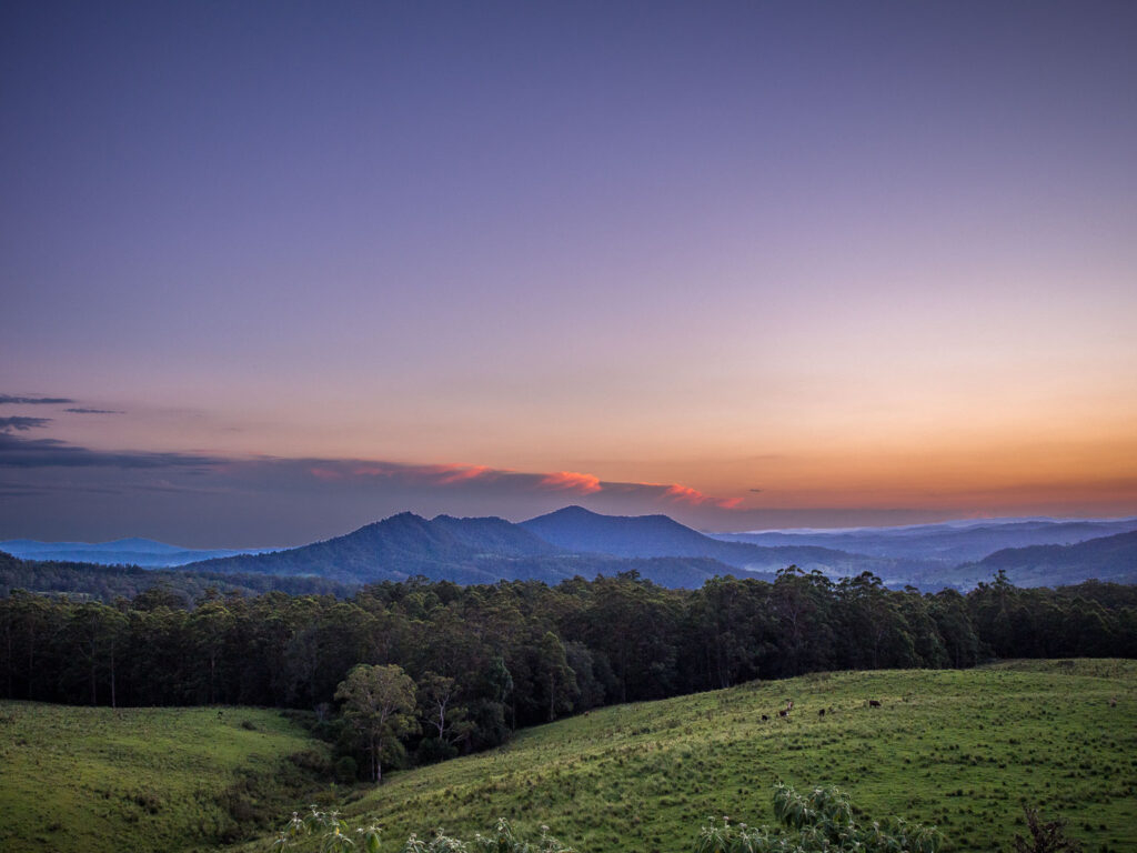 A twilight view from the edge of Border Ranges National Park, looking over dark forested ridges and rolling green farmland under a purple sky with a thin band of pink-lit clouds on the horizon.