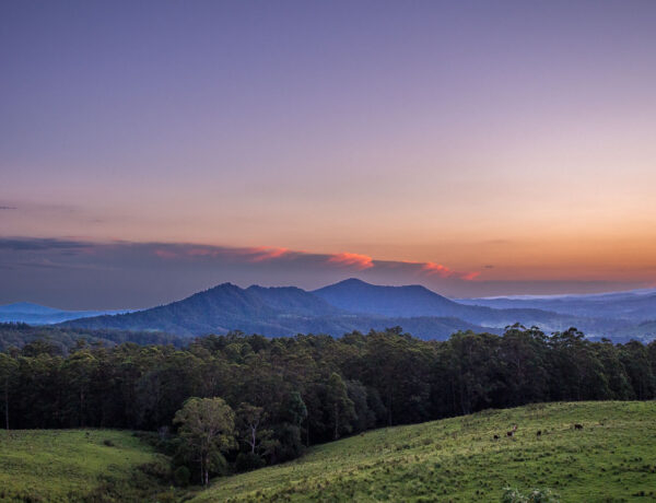 A twilight view from the edge of Border Ranges National Park, looking over dark forested ridges and rolling green farmland under a purple sky with a thin band of pink-lit clouds on the horizon.