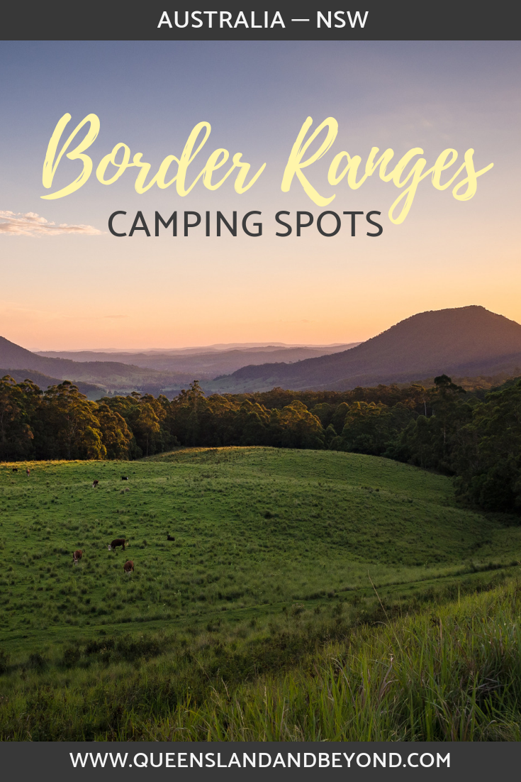 Looking over the Border Ranges National Park