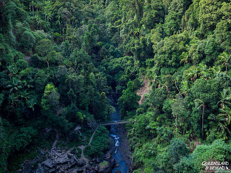 Hiking Springbrook National Park: A Waterfall Guide