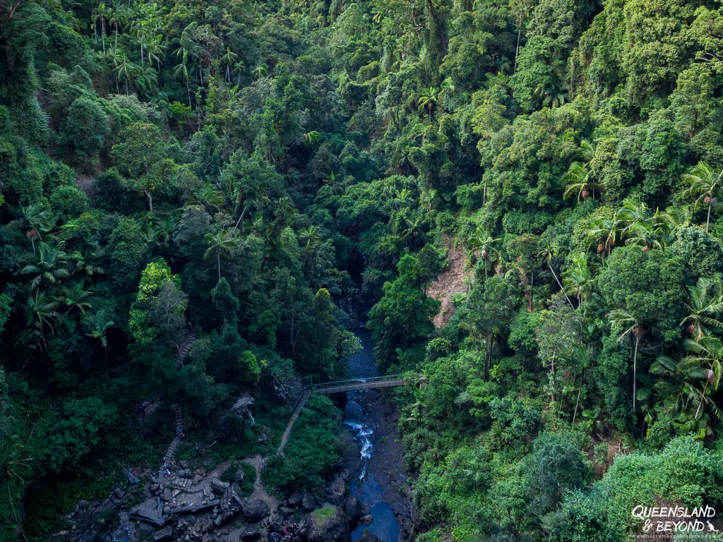 Bridge over Purlingbrook, Springbrook National Park