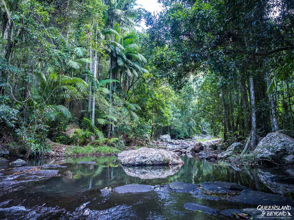 Warringa Pool trail following Little Nerang Creek