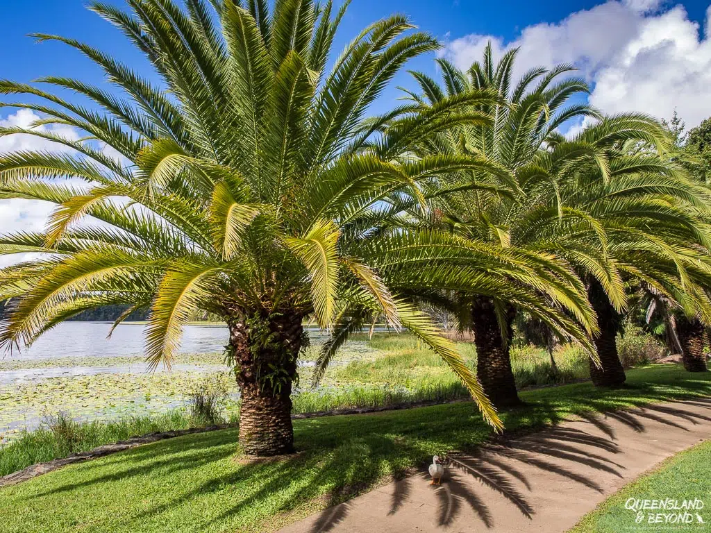 Noosa Botanic Gardens