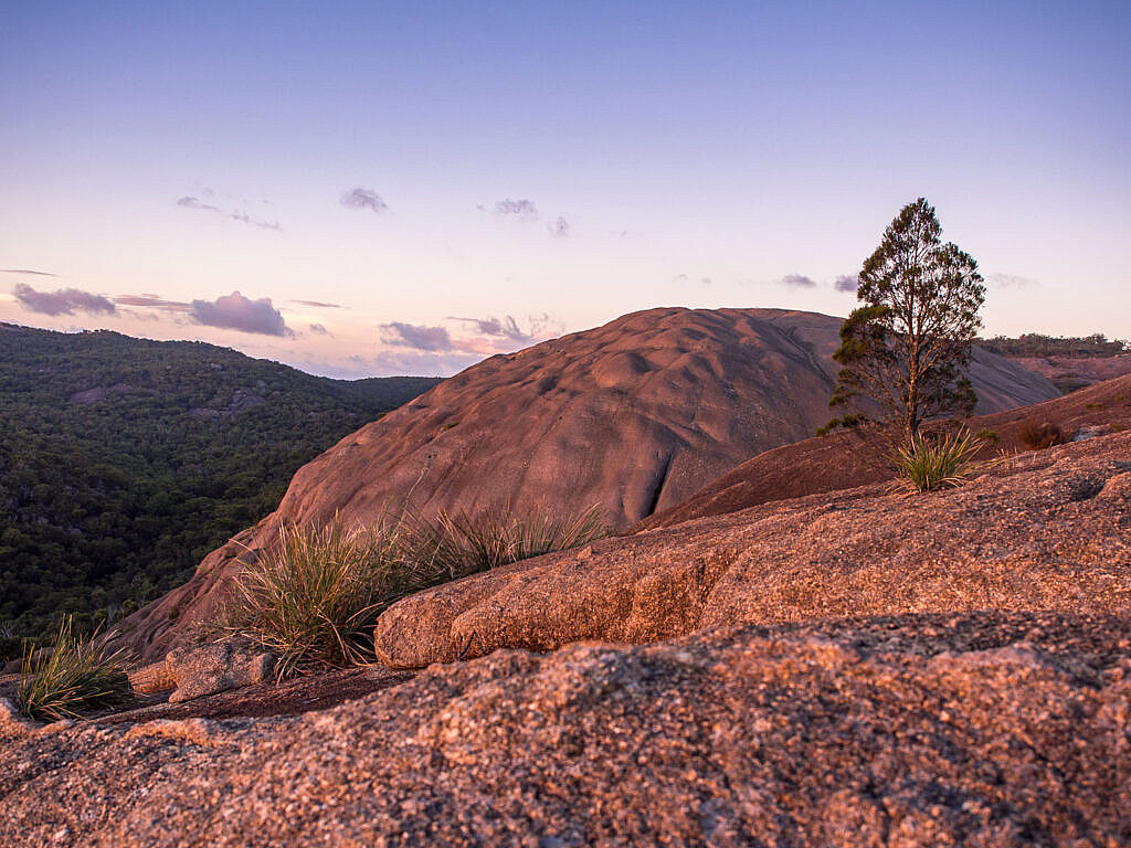 Camping at Girraween NP