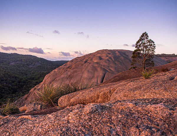 Camping at Girraween NP