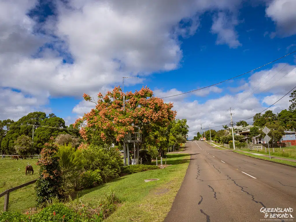 Road through Kenilworth