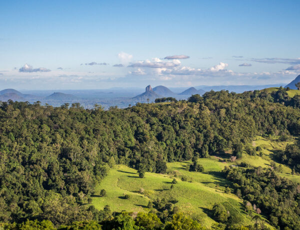 Panoramic view of the volcanic peaks of the Glass House Mountains rising above rolling green hinterland hills and eucalypt forests on the Sunshine Coast.