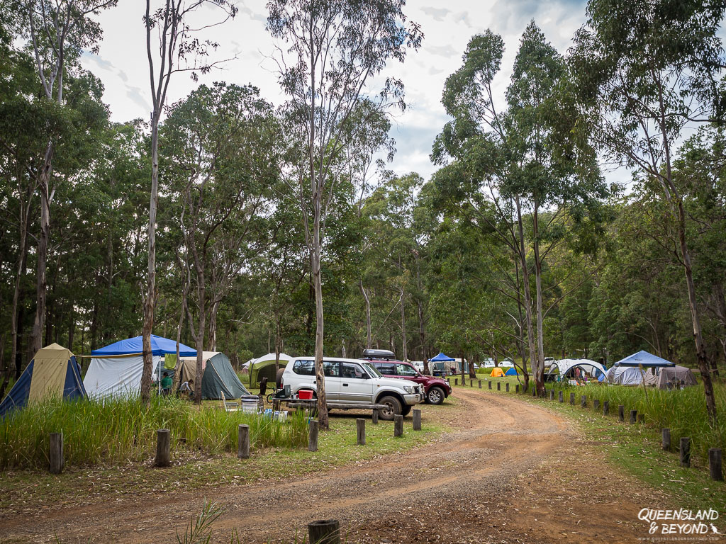 Camping area Spicers Gap at Main Range National Park