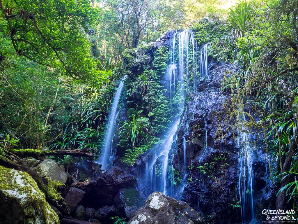 A long-exposure shot of Chalahn Falls cascading in delicate, curtain-like streams down a wide, dark volcanic rock face covered in lush green moss, climbing ferns, and dense sub-tropical rainforest foliage.