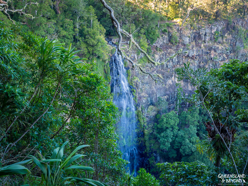 Backyard Tourist: Coomera Falls at Coomera Circuit, Binna Burra on