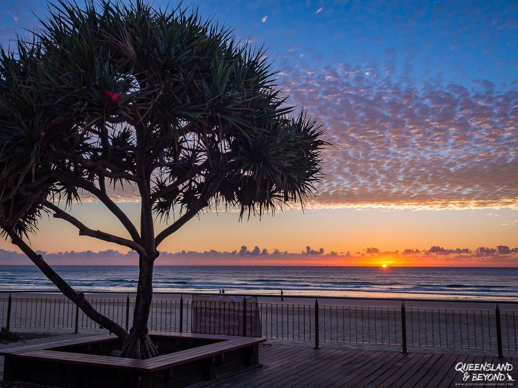 tourist near sunshine coast