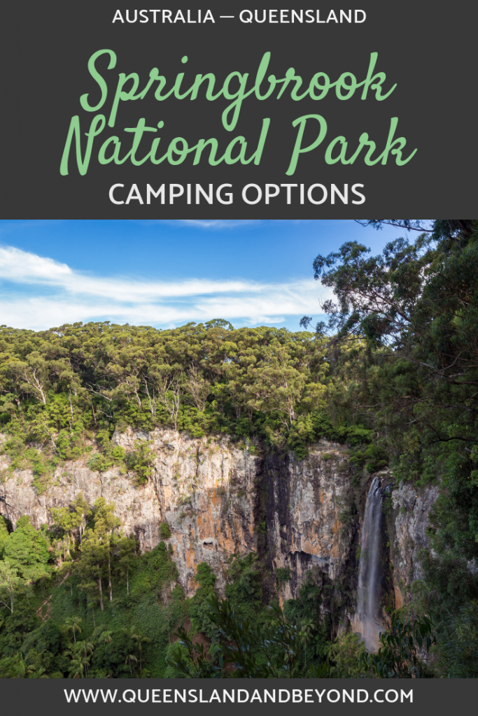 Springbrook National Park Camping Guide