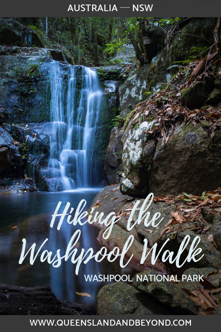 Hiking in Washpool National Park