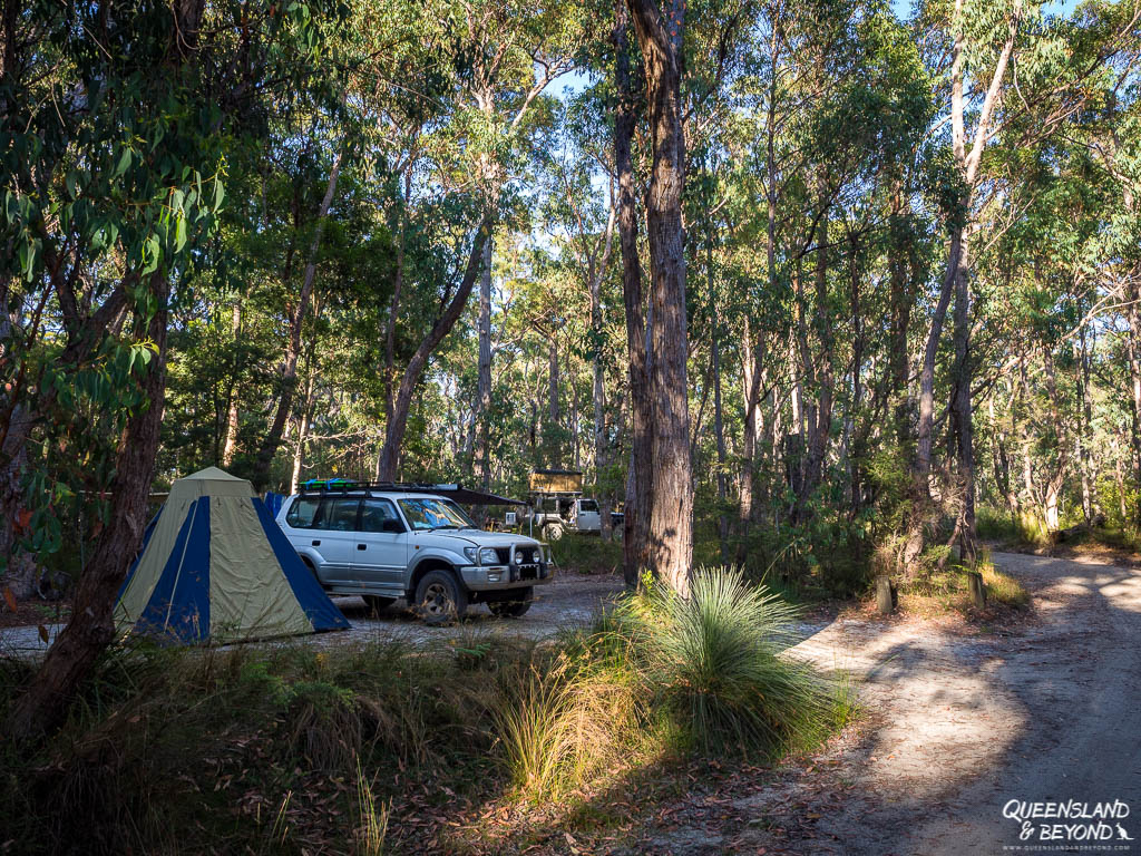 Camping area at Gibraltar Range National Park