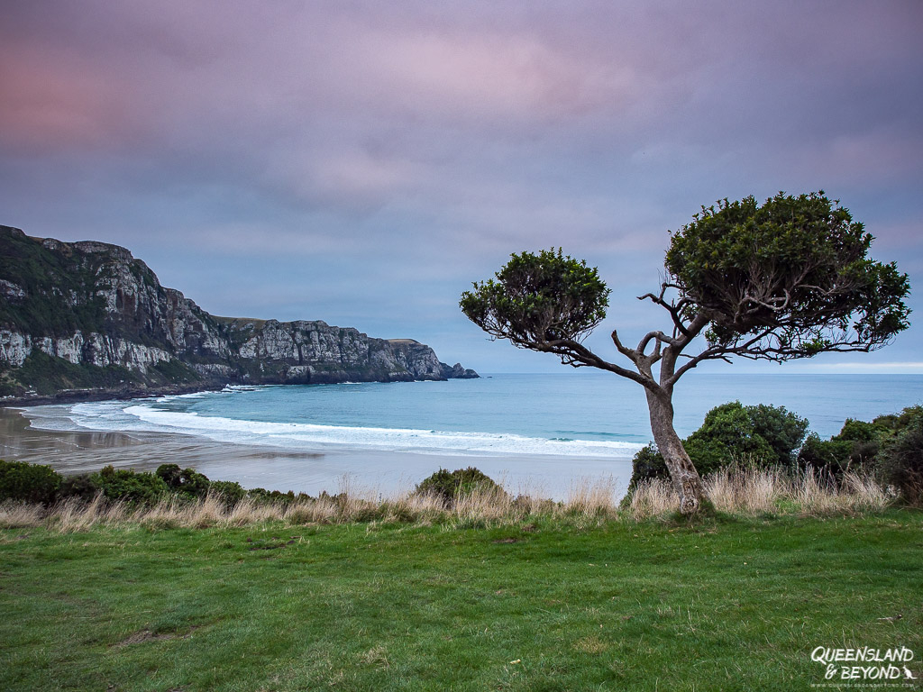 Views over the bay at Purakaunui Bay campground