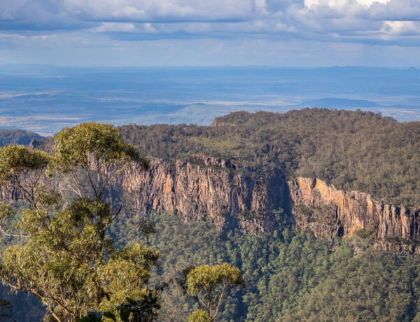 Rugged eucalyptus-covered cliffs and escarpment at Main Range National Park on a day walk in South East Queensland.