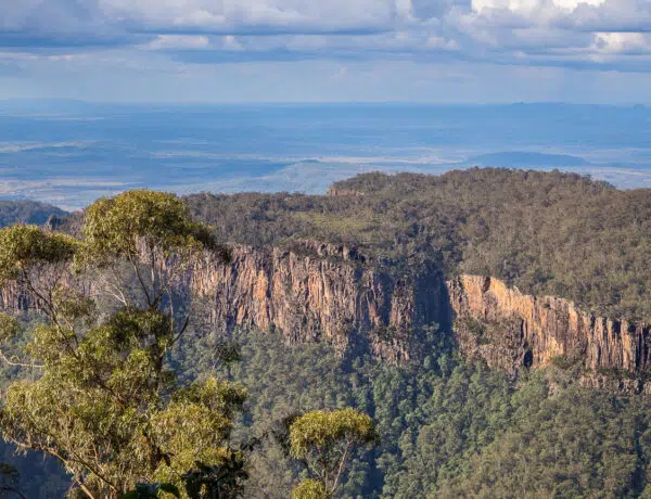 Rugged eucalyptus-covered cliffs and escarpment at Main Range National Park on a day walk in South East Queensland.