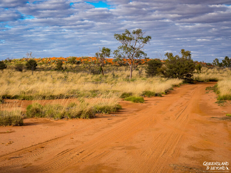 A Guide to Welford National Park