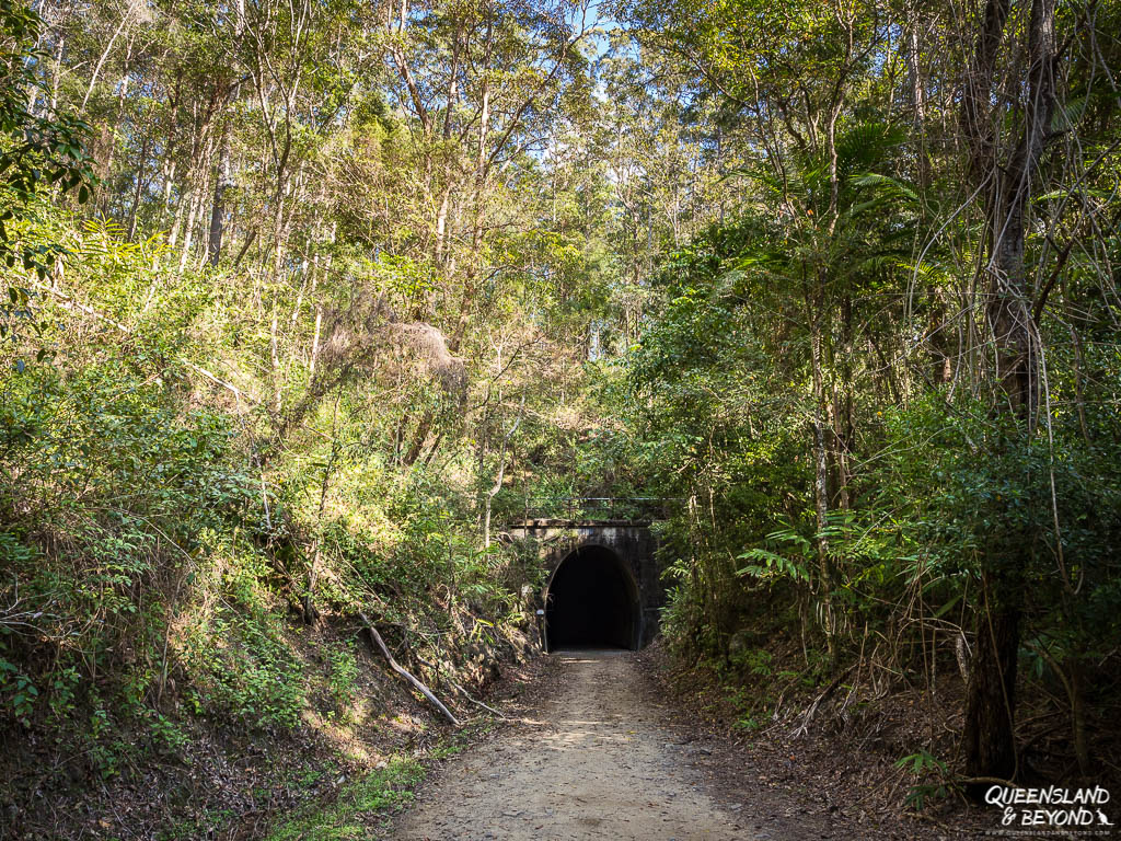 Old railway tunnel at Dularcha National Park
