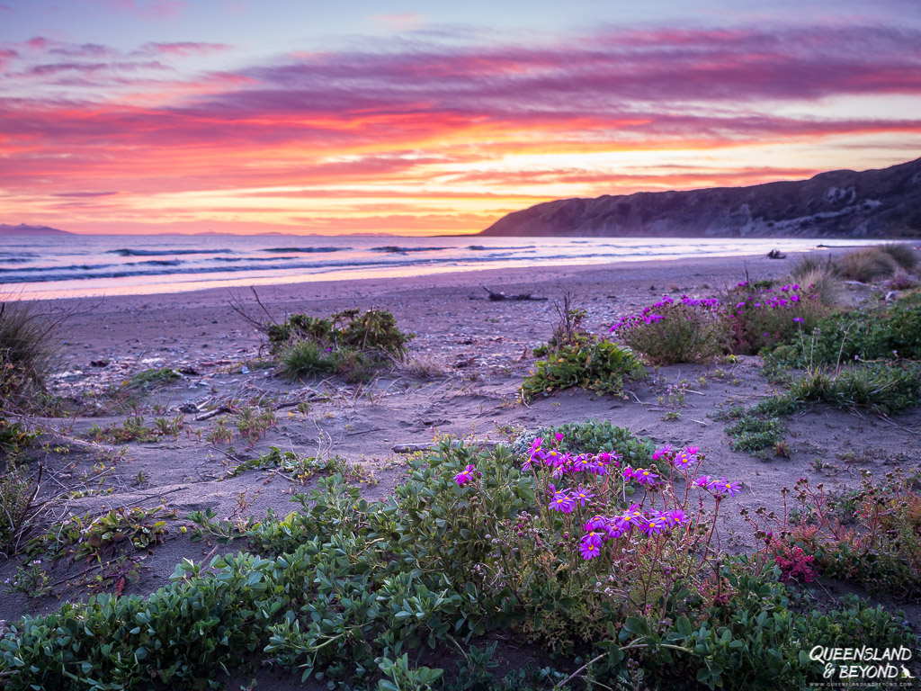 Sunset at Marfells Beach campground