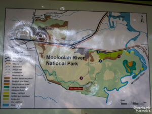 Mooloolah River National Park