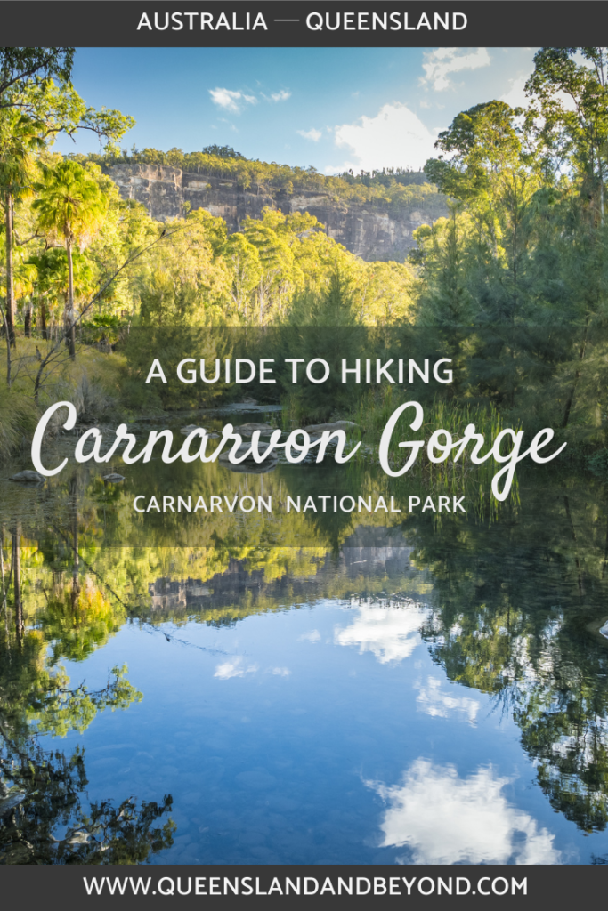 An in-depth guide to hiking Carnarvon Gorge