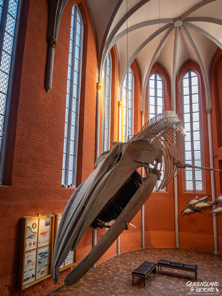 Meeresmuseum, Stralsund, Germany