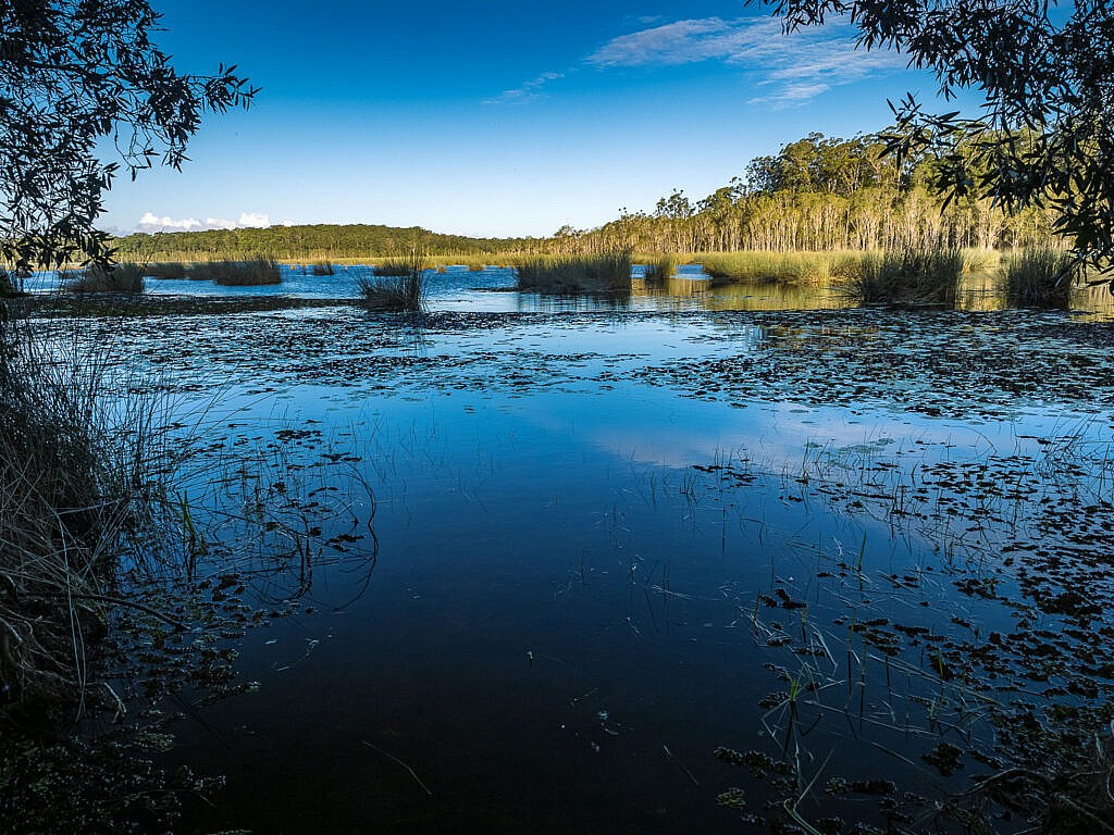 Day hikes on the Sunshine Coast