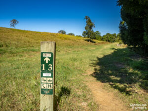 Hiking trail in the Noosa Hinterland