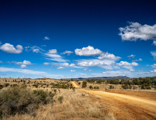 A wide, unsealed dirt track on Bauhinia Road heading north from Expedition National Park, showing the vast, open plains and distant sandstone escarpments of the Queensland Sandstone Belt under a blue sky.