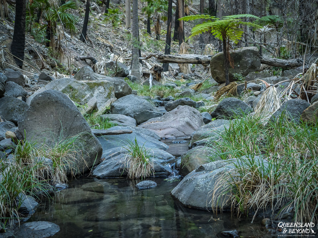 Mickey Creek, Carnarvon Gorge, Carnarvon National Park