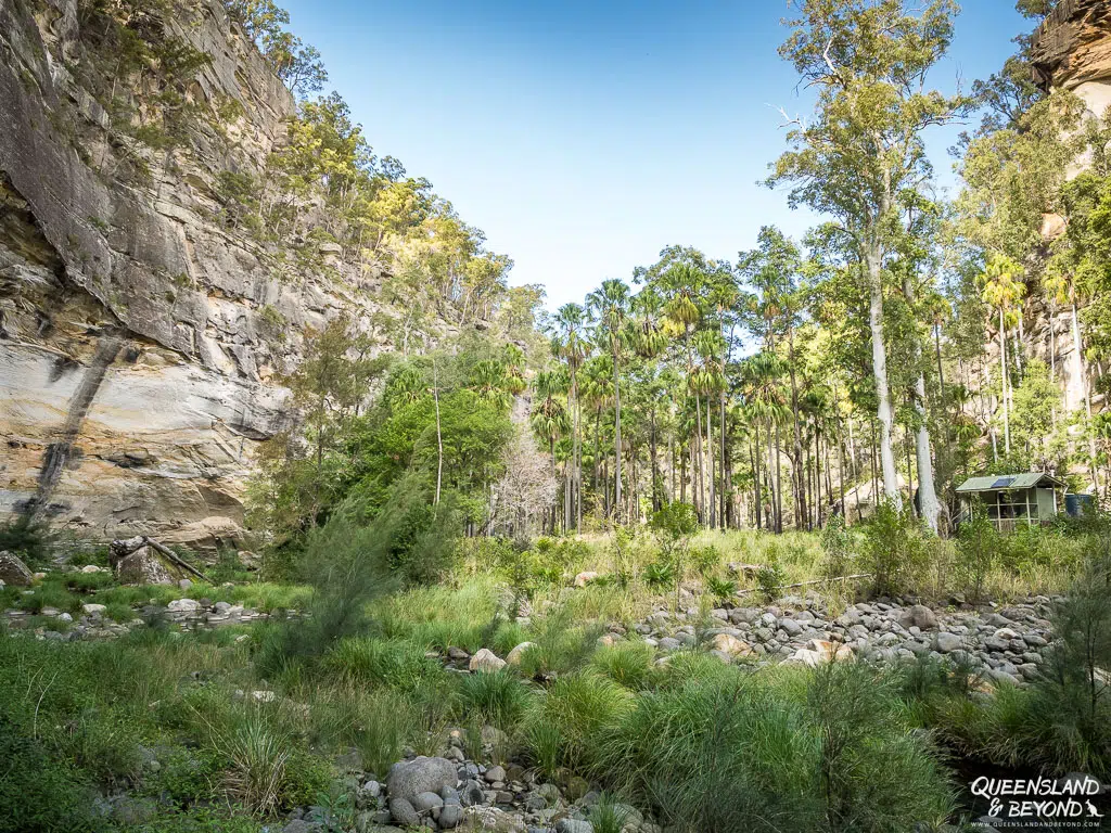 Camping at Big Bend, Carnarvon Gorge, Carnarvon National Park
